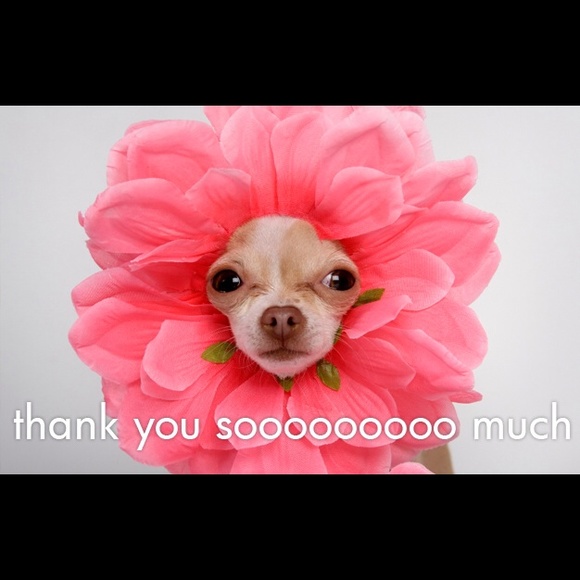 Thank you so much for purchasing from me and supporting my small business - Picture 9 of 14